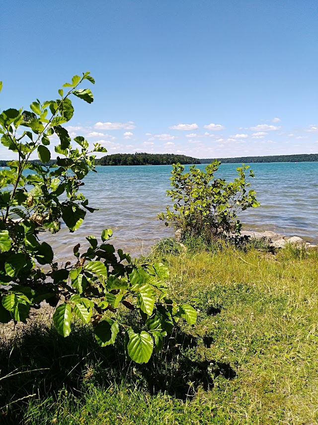 Stechlinsee