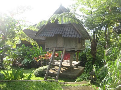 Photos of Bali Mountain Retreat