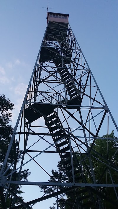 Photos of Tar Hollow State Forest