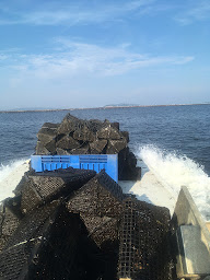 Photo n°109 de Coqui Thau à Marseillan (Bar-restaurant à huîtres)