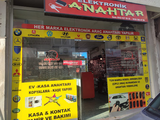 Özdal Elektronik Anahtar