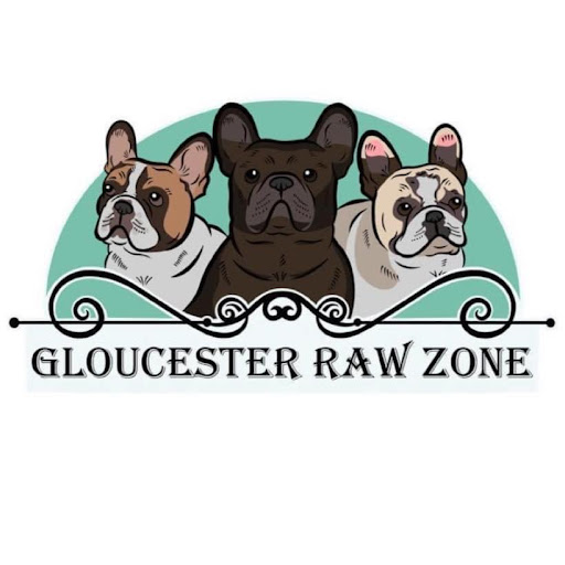 Gloucester Raw Zone - Visual