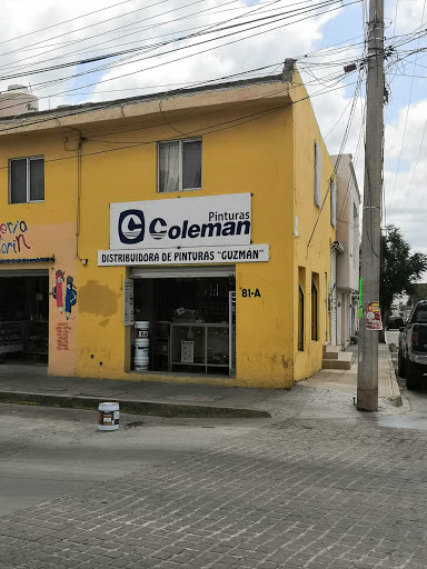 DISTRIBUIDORA DE PINTURAS GUZMÁN - Thumbnail