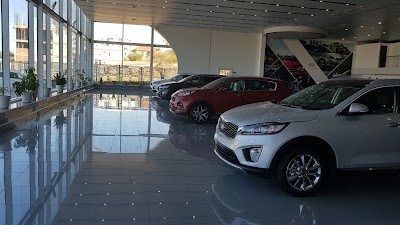 car-dealer