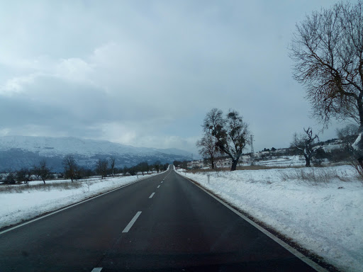 Panone - Visual