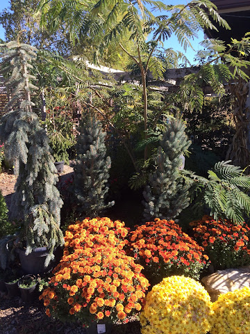 Jerry's Nursery & Landscaping by null