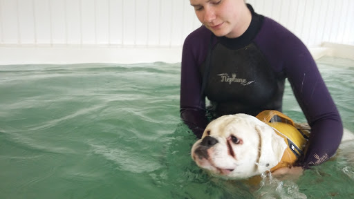 Aquapaws Sheffield Canine Hydrotherapy