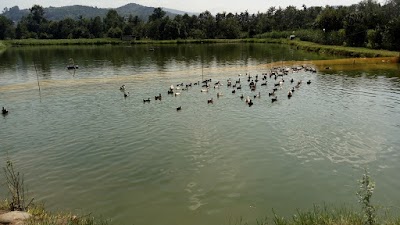 Photos of مسجد مهدیه