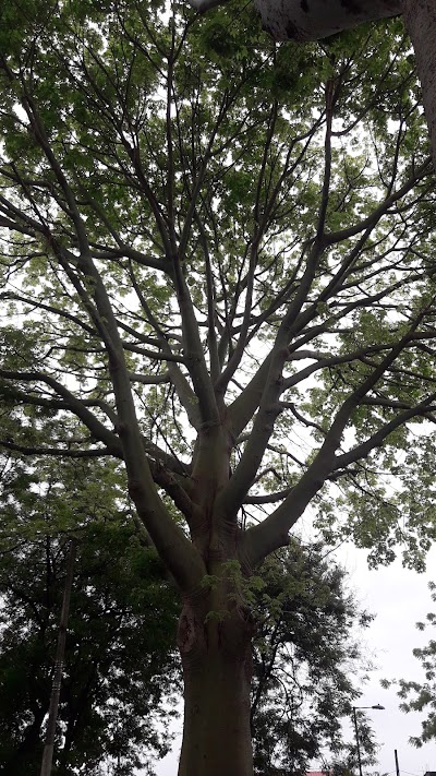 Photos of parque alborada