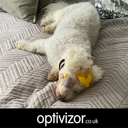 Optivizor.co.uk - Visual