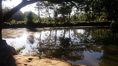Photos of Koilla Pukur