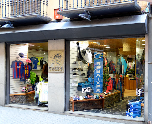 Carpi - Visual