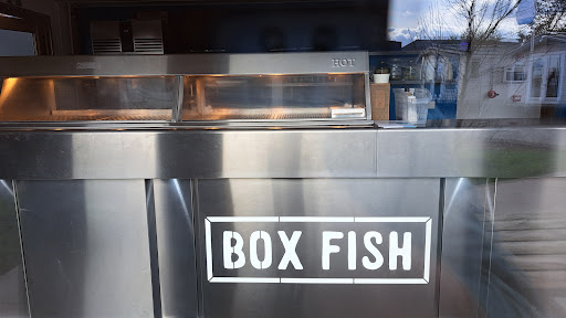 Box Fish - Visual