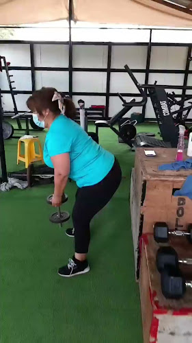 Los Carrera 169, 9580000 Bollenar, Melipilla, Región Metropolitana