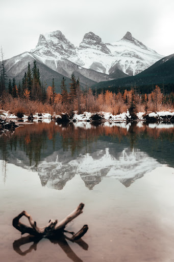 Zach Taylor, Realtor - Call Canmore Home - Thumbnail
