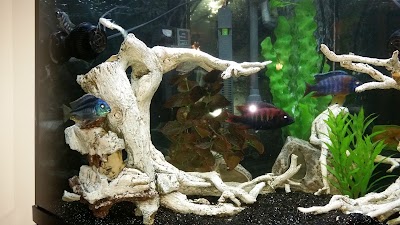 Fishlife Aquariums