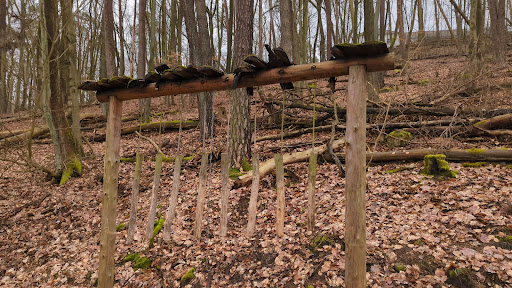 Waldklavier - Visual