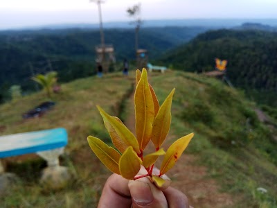 Photos of Wagir Bawang