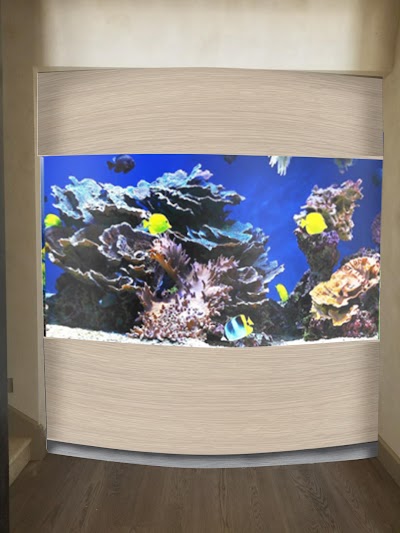 Reef Systems Inc