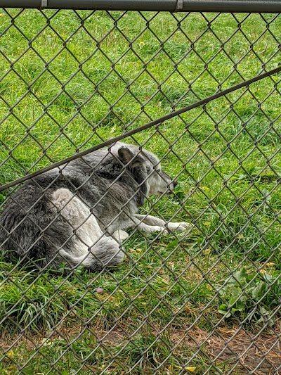 Zoo New York