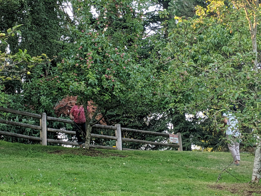 Sammamish Commons - Thumbnail