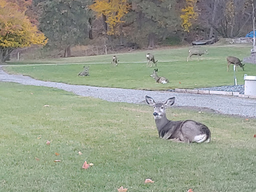 Conconully State Park Gallery - United States