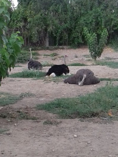 Photos of &laquo;ՀՐԱՇՔ ԱՅԳԻ&raquo;