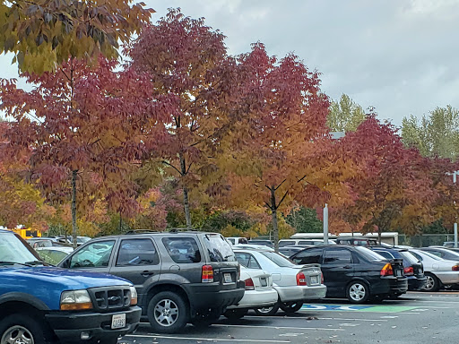 Marysville Getchell High School