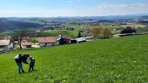 Gammerhof - Visual