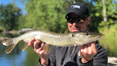 Stream and Brook Fly Fishing