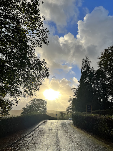 Heartwood Counselling and Psychotherapy College Devon - Thumbnail