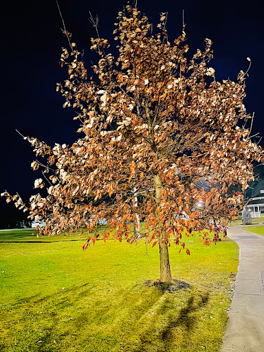 Ives Park Gazebo Gallery - United States
