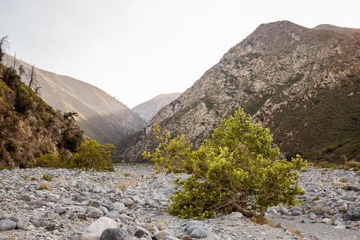 Bonita Ranch Campground - Thumbnail