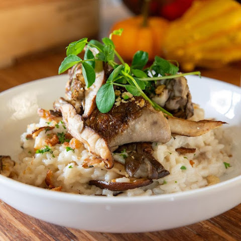 Stella Modern Italian Cuisine by null