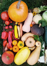 Photo n°21 de LA FERME DU HANNETON à Lombron (Maraîcher)