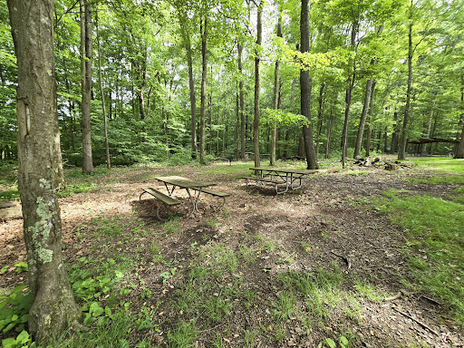 Tharp Knob Picnic Area #3 - Thumbnail