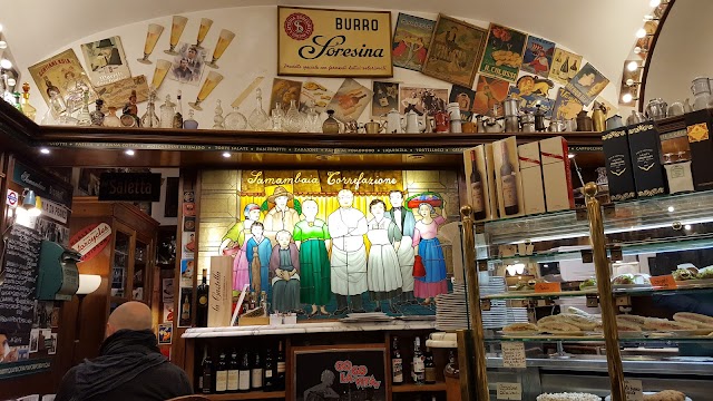 Samambaia
