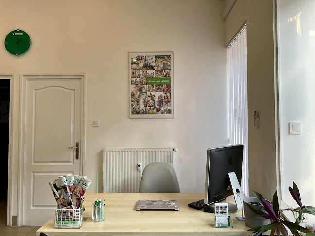 Comentarii opinii despre Tecnocasa Ingatlaniroda - Palazzo Doro Kft.