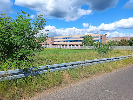 Schaeffler Automotive Aftermarket GmbH & Co. KG
