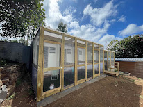 Les Félins d'Abord à Saint-Paul