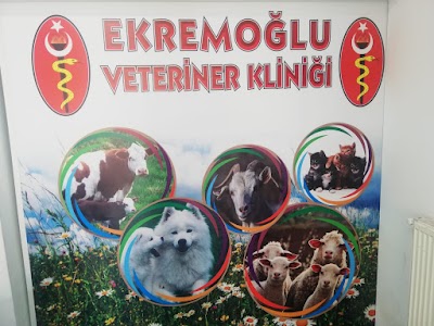 EKREMOĞLU VETERİNER KLİNİĞİ