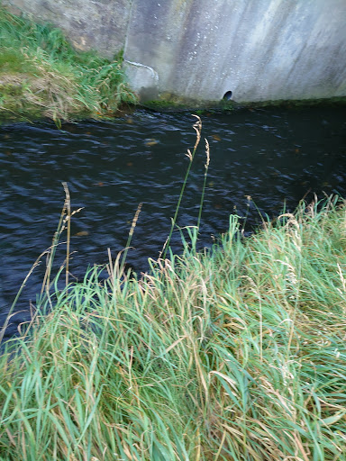 Wanless Stepping Stones - Thumbnail