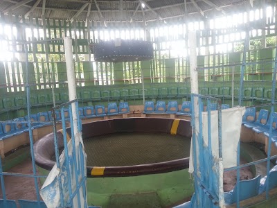 Photos of Club Gallistico Don Juan