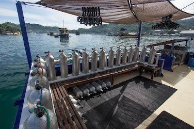 Photos of Komodo Dive Center