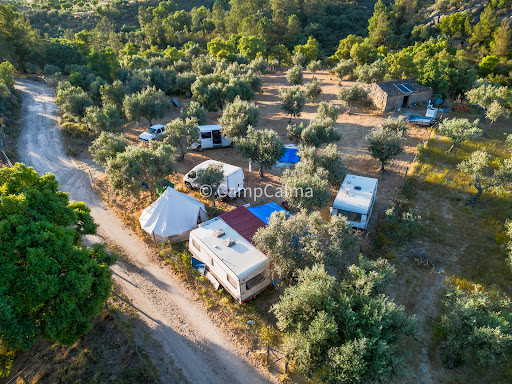 Camp Calma - Visual