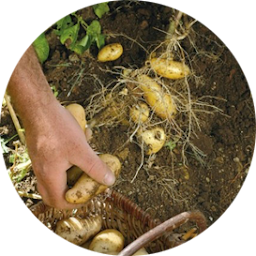 Photo n°10 de GAEC DELPUECH à Sumène (Ferme)