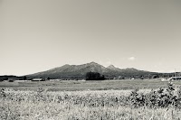 甲陽不動産合同会社