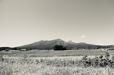 甲陽不動産合同会社