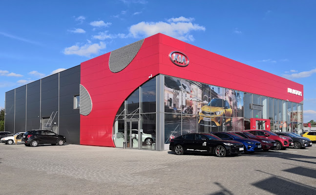 Kia Auto Junior Rybnik - Sprzedawca samochodów