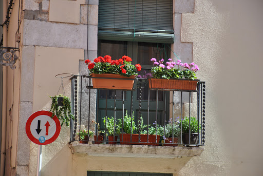 universal flat - Visual